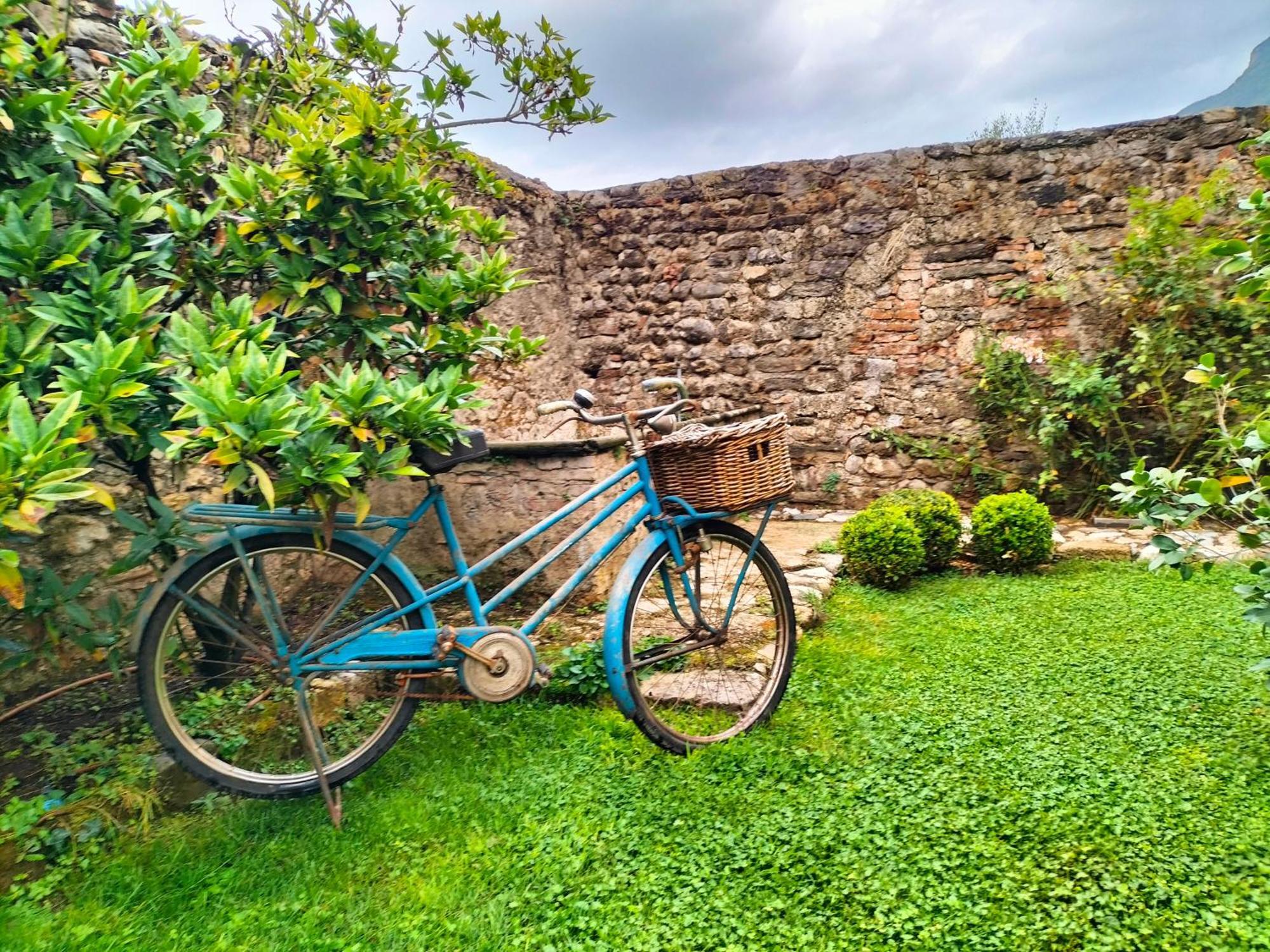 Badia Giulia Prestigious Historical B&B, Camaiore - Adults Only - No Pets Экстерьер фото